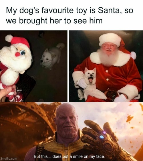 dogs | image tagged in but this does put a smile on my face,dogs | made w/ Imgflip meme maker