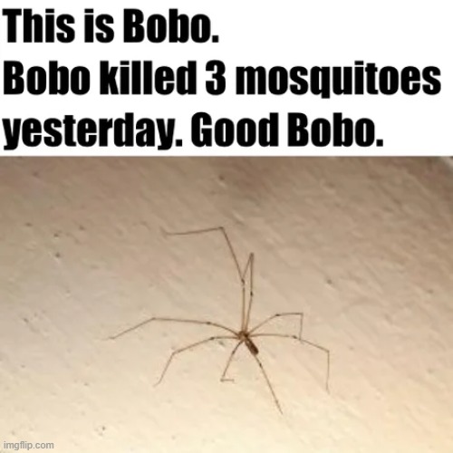 image tagged in repost | made w/ Imgflip meme maker