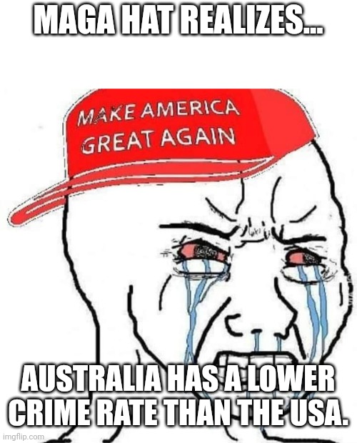 Trumpanzee confusion | MAGA HAT REALIZES... AUSTRALIA HAS A LOWER CRIME RATE THAN THE USA. | image tagged in conservative,republican,mass shooting,gun control,trump,democrats | made w/ Imgflip meme maker