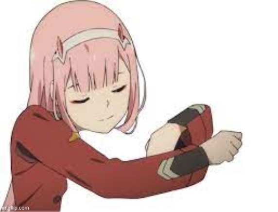 zero two blank hug | image tagged in zero two blank hug | made w/ Imgflip meme maker
