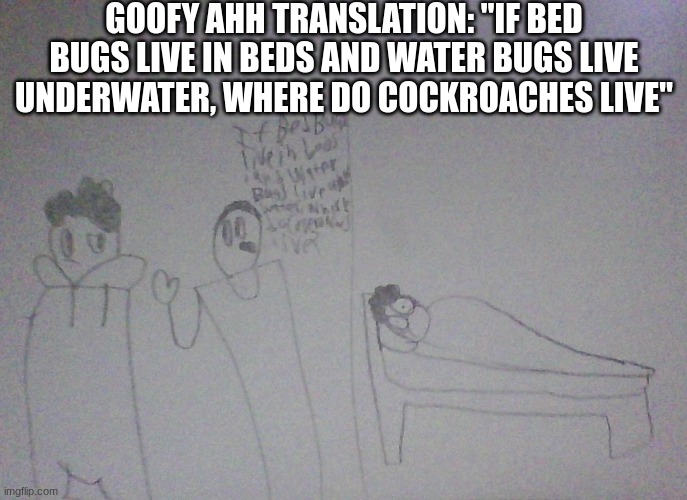 GOOFY AHH TRANSLATION: "IF BED BUGS LIVE IN BEDS AND WATER BUGS LIVE UNDERWATER, WHERE DO COCKROACHES LIVE" | made w/ Imgflip meme maker