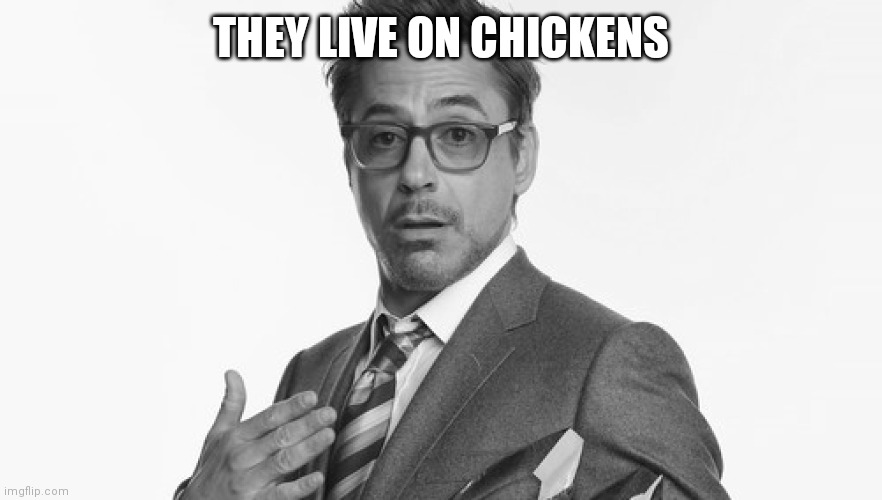 Robert Downey Jr's Comments | THEY LIVE ON CHICKENS | image tagged in robert downey jr's comments | made w/ Imgflip meme maker