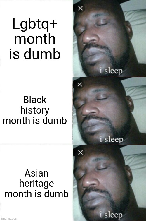 Lgbtq+ month is dumb; Black history month is dumb; Asian heritage month is dumb | image tagged in memes,sleeping shaq | made w/ Imgflip meme maker