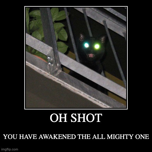 "The all Seeing Kot" | image tagged in funny,demotivationals,memes,boss,cats,cursed image | made w/ Imgflip demotivational maker