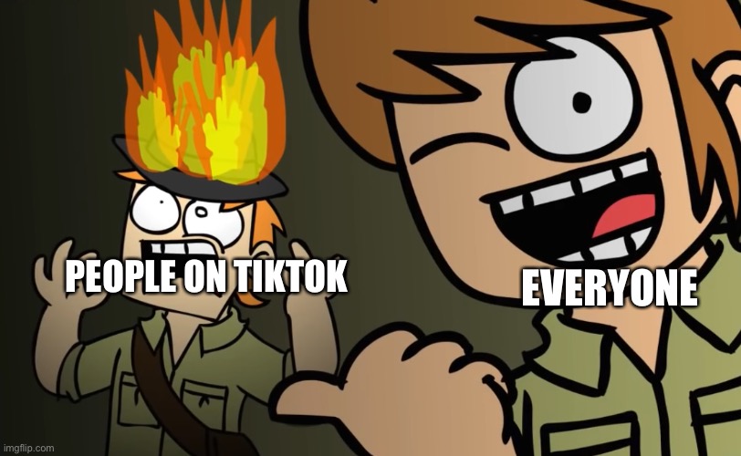 Matt on fire | EVERYONE PEOPLE ON TIKTOK | image tagged in matt on fire | made w/ Imgflip meme maker