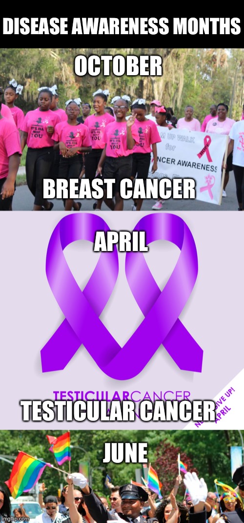 OCTOBER; DISEASE AWARENESS MONTHS; BREAST CANCER; APRIL; TESTICULAR CANCER; JUNE | image tagged in blank black | made w/ Imgflip meme maker