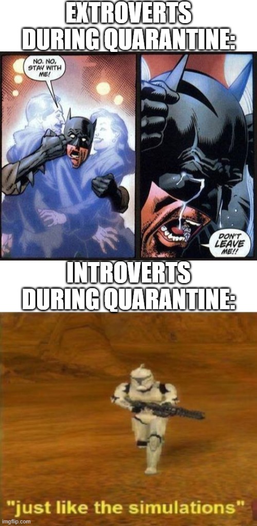 LOL XD | EXTROVERTS DURING QUARANTINE:; INTROVERTS DURING QUARANTINE: | image tagged in batman don't leave me,just like the simulations,quarantine | made w/ Imgflip meme maker