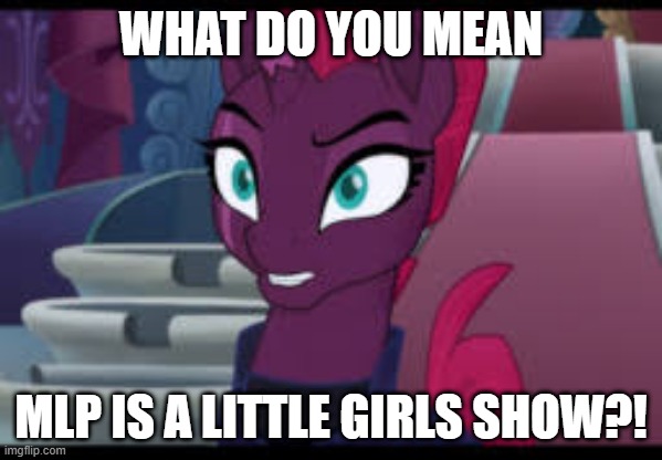 its also for older ponies as well |  WHAT DO YOU MEAN; MLP IS A LITTLE GIRLS SHOW?! | image tagged in mlp,fun,funny,meme,fim,my little pont | made w/ Imgflip meme maker