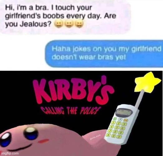 i dare everyone to not flag this nsfw | image tagged in kirby's calling the police,dark humor | made w/ Imgflip meme maker