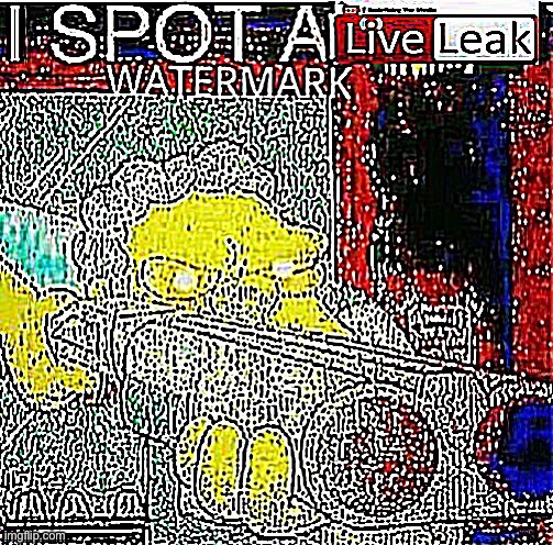 I spot a liveleak watermark | image tagged in i spot a liveleak watermark | made w/ Imgflip meme maker