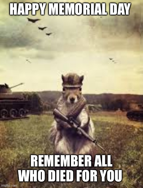 Soldier squirrel | HAPPY MEMORIAL DAY; REMEMBER ALL WHO DIED FOR YOU | image tagged in soldier squirrel | made w/ Imgflip meme maker