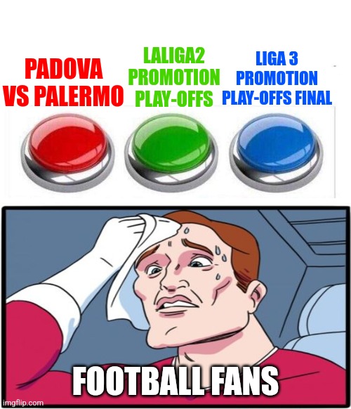 Football fans right now on the international break... | LALIGA2 PROMOTION PLAY-OFFS; LIGA 3 PROMOTION PLAY-OFFS FINAL; PADOVA VS PALERMO; FOOTBALL FANS | image tagged in padova vs palermo,laliga 2,liga 3 romania,futbol,sports,memes | made w/ Imgflip meme maker