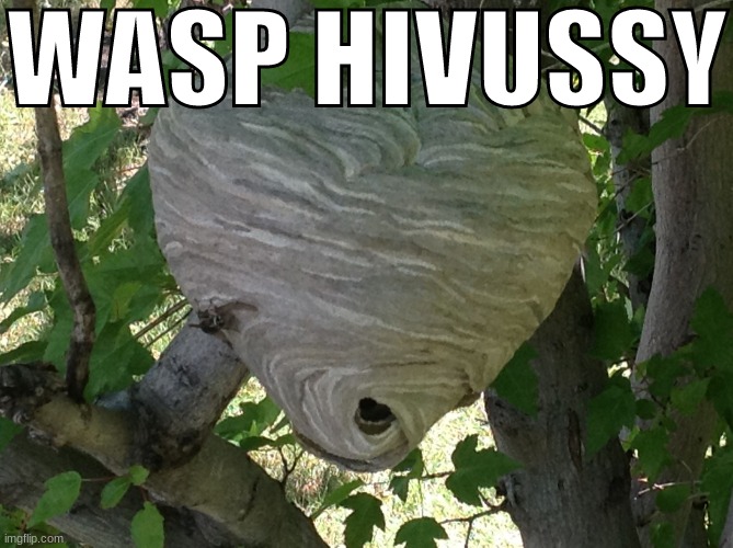 i hate myself | WASP HIVUSSY | made w/ Imgflip meme maker