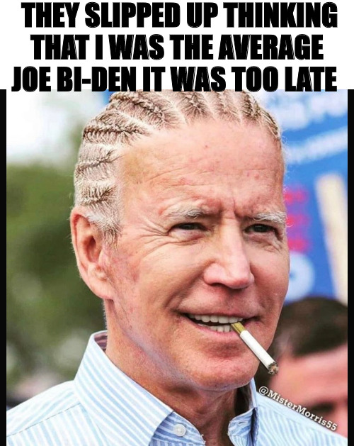 i trick that as | THEY SLIPPED UP THINKING THAT I WAS THE AVERAGE JOE BI-DEN IT WAS TOO LATE | image tagged in joe biden,joe,cool joe biden | made w/ Imgflip meme maker