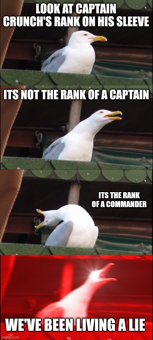 Well shit | LOOK AT CAPTAIN CRUNCH'S RANK ON HIS SLEEVE; ITS NOT THE RANK OF A CAPTAIN; ITS THE RANK OF A COMMANDER; WE'VE BEEN LIVING A LIE | image tagged in memes,inhaling seagull,captain crunch is not a captain,he is a commander | made w/ Imgflip meme maker