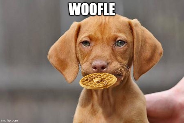 Woofle | WOOFLE | image tagged in dog,woofle | made w/ Imgflip meme maker