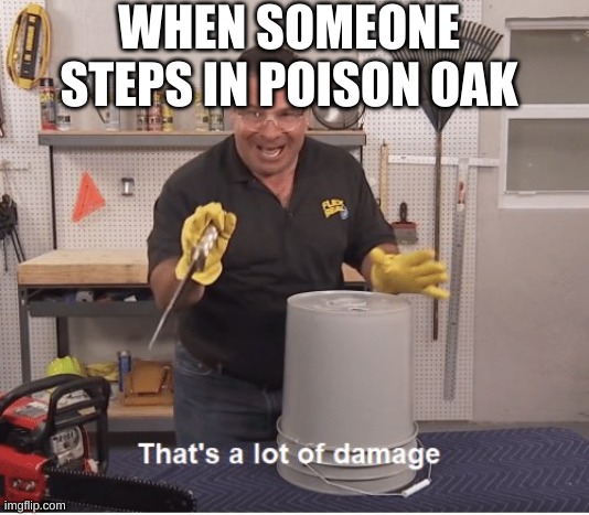 damage | WHEN SOMEONE STEPS IN POISON OAK | image tagged in thats a lot of damage | made w/ Imgflip meme maker