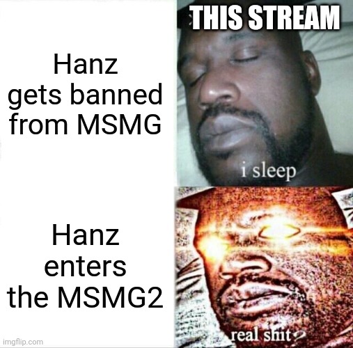 Guten Tag |  THIS STREAM; Hanz gets banned from MSMG; Hanz enters the MSMG2 | image tagged in memes,sleeping shaq | made w/ Imgflip meme maker