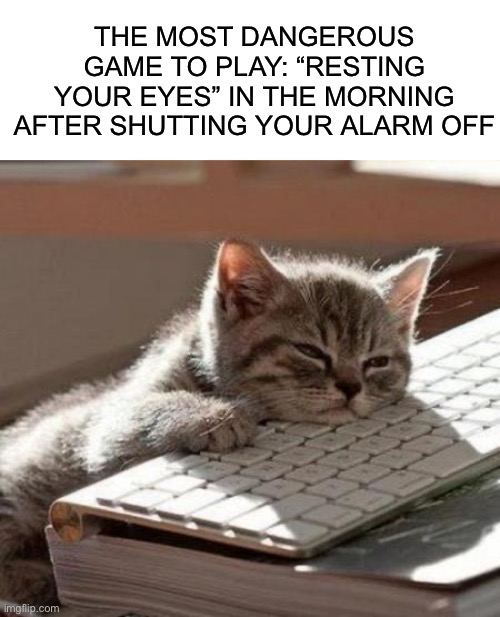 Don’t do it :) |  THE MOST DANGEROUS GAME TO PLAY: “RESTING YOUR EYES” IN THE MORNING AFTER SHUTTING YOUR ALARM OFF | image tagged in tired cat,memes,funny,tired,sleep,dangerous | made w/ Imgflip meme maker