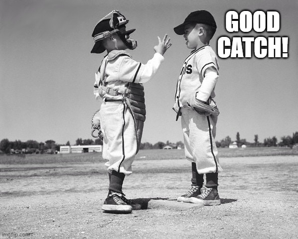 kids baseball | GOOD CATCH! | image tagged in kids baseball | made w/ Imgflip meme maker