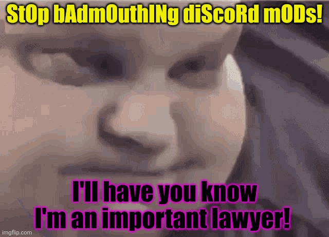 StOp bAdmOuthINg diScoRd mODs! I'll have you know I'm an important lawyer! | made w/ Imgflip meme maker