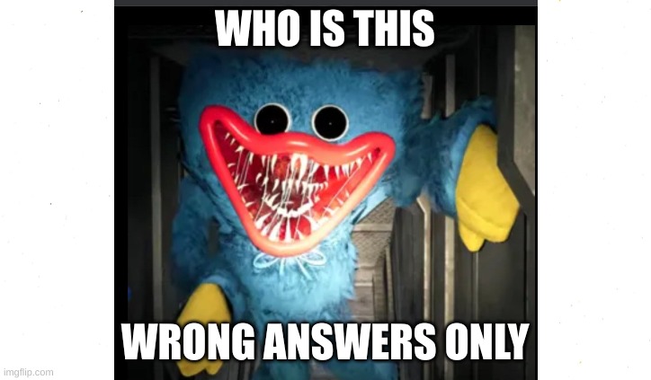  WHO IS THIS; WRONG ANSWERS ONLY | image tagged in blank white template | made w/ Imgflip meme maker