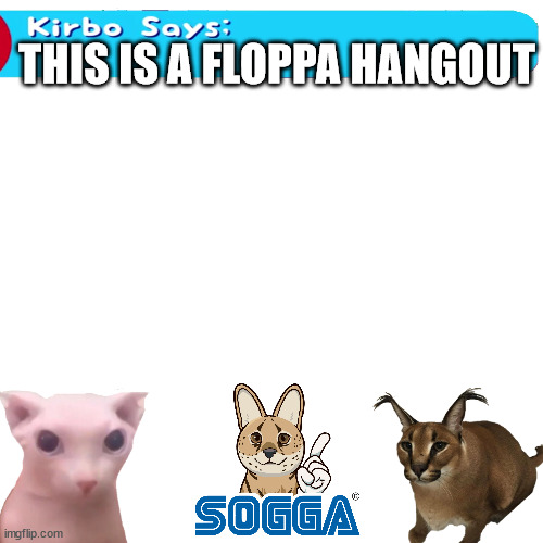 Blank Transparent Square Meme | THIS IS A FLOPPA HANGOUT | image tagged in memes,blank transparent square | made w/ Imgflip meme maker