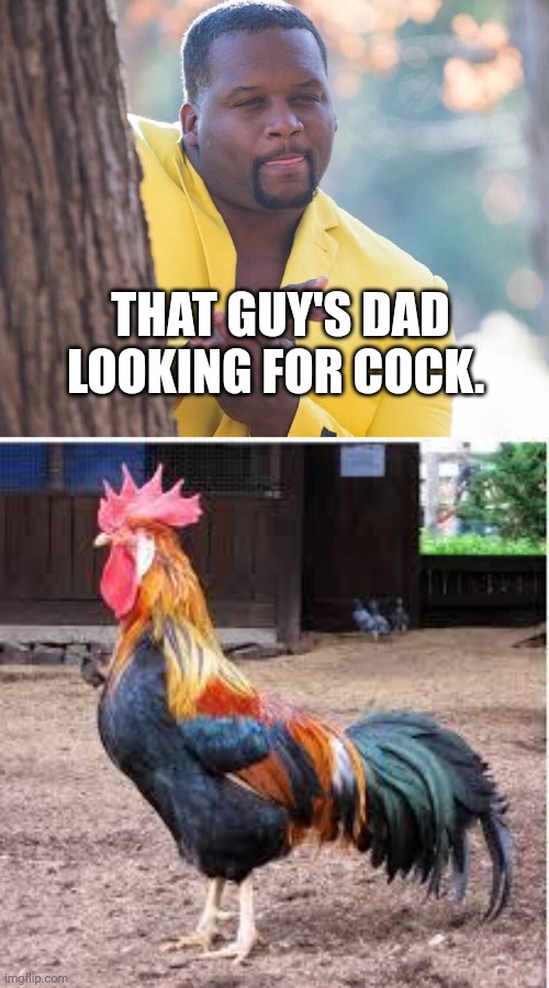 THAT GUY'S DAD LOOKING FOR COCK. | image tagged in black guy hiding behind tree,cock rooster | made w/ Imgflip meme maker