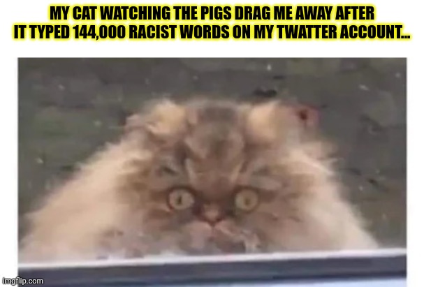 MY CAT WATCHING THE PIGS DRAG ME AWAY AFTER IT TYPED 144,000 RACIST WORDS ON MY TWATTER ACCOUNT... | made w/ Imgflip meme maker