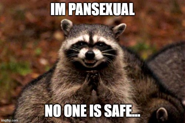 beware.. | IM PANSEXUAL; NO ONE IS SAFE... | image tagged in memes,evil plotting raccoon,pansexual | made w/ Imgflip meme maker