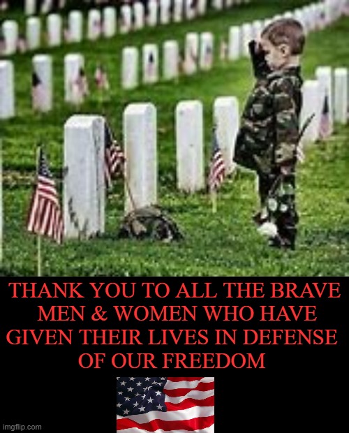 Memorial Day | THANK YOU TO ALL THE BRAVE
 MEN & WOMEN WHO HAVE

GIVEN THEIR LIVES IN DEFENSE 

OF OUR FREEDOM | image tagged in politics,us military,memorial day,thank you,home of the brave,grateful nation | made w/ Imgflip meme maker
