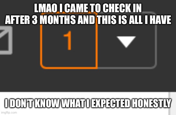 No | LMAO I CAME TO CHECK IN AFTER 3 MONTHS AND THIS IS ALL I HAVE; I DON’T KNOW WHAT I EXPECTED HONESTLY | image tagged in no,/no,no/ | made w/ Imgflip meme maker