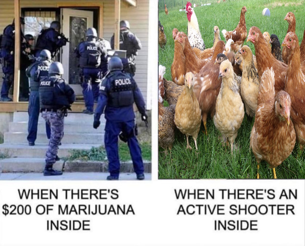 Nuff Said | image tagged in police,chickens | made w/ Imgflip meme maker