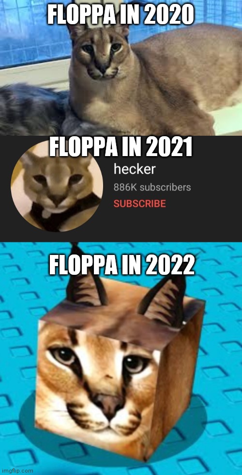 FLOPPA IN 2020; FLOPPA IN 2021; FLOPPA IN 2022 | image tagged in floppa | made w/ Imgflip meme maker