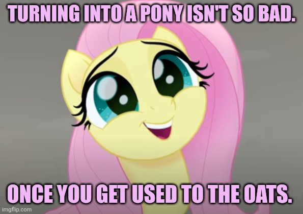 Do You Wanna Talk About It? | TURNING INTO A PONY ISN'T SO BAD. ONCE YOU GET USED TO THE OATS. | image tagged in do you wanna talk about it | made w/ Imgflip meme maker