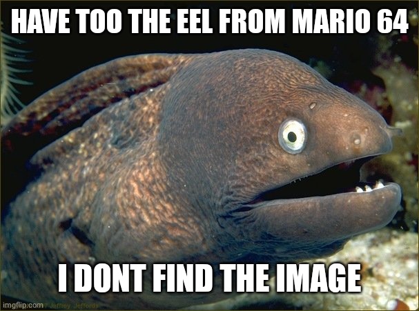 bad joke eel | HAVE TOO THE EEL FROM MARIO 64 I DONT FIND THE IMAGE | image tagged in bad joke eel | made w/ Imgflip meme maker