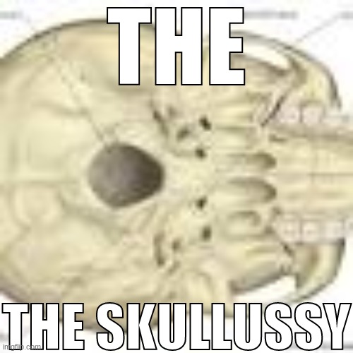THE SKULLUSSY | image tagged in the skullussy | made w/ Imgflip meme maker