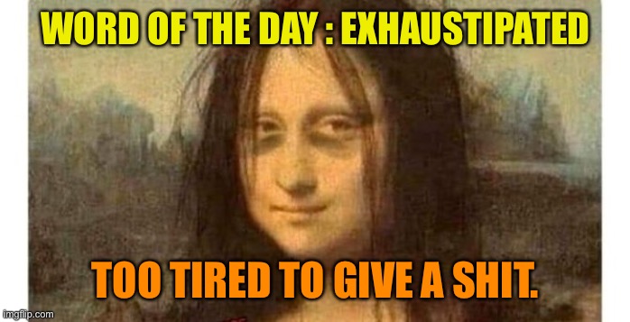 New word: EXHAUSTIPATED | WORD OF THE DAY : EXHAUSTIPATED; TOO TIRED TO GIVE A SHIT. | image tagged in tired mona lisa,new word,exhaustipated,too tired,to give a shit | made w/ Imgflip meme maker