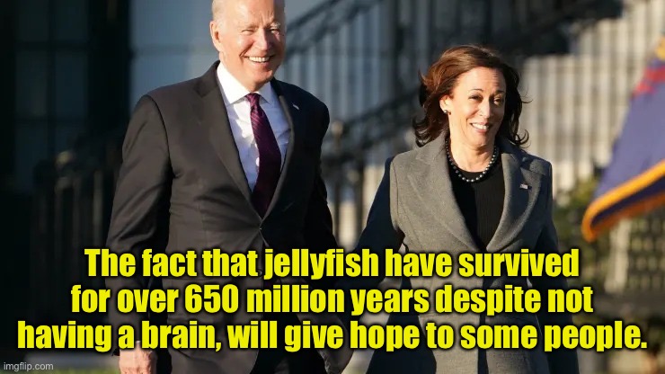 Biden Harris | The fact that jellyfish have survived for over 650 million years despite not having a brain, will give hope to some people. | image tagged in biden harris,jellyfish no brain,lived 650 million years,will give hope,to some people | made w/ Imgflip meme maker