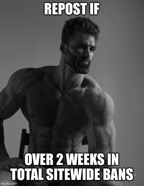 At least 3 weeks here maybe 4 or a month | REPOST IF; OVER 2 WEEKS IN TOTAL SITEWIDE BANS | image tagged in giga chad | made w/ Imgflip meme maker