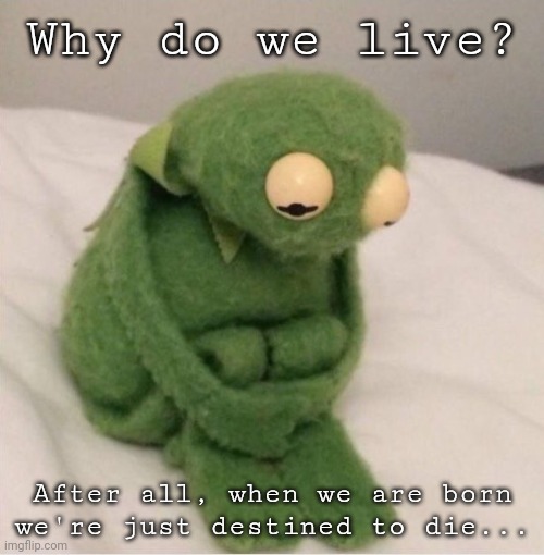 Just Me Being Sad :'] |  Why do we live? After all, when we are born we're just destined to die... | image tagged in sad kermit,we're all gonna die,so sad | made w/ Imgflip meme maker