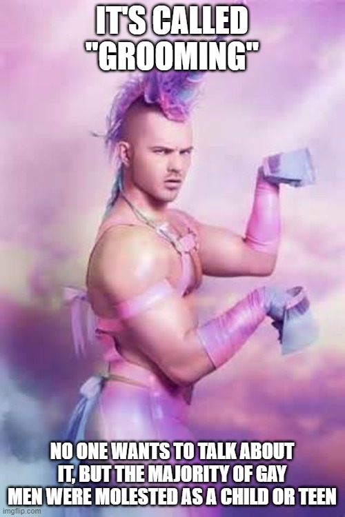 Gay Unicorn | IT'S CALLED "GROOMING" NO ONE WANTS TO TALK ABOUT IT, BUT THE MAJORITY OF GAY MEN WERE MOLESTED AS A CHILD OR TEEN | image tagged in gay unicorn | made w/ Imgflip meme maker