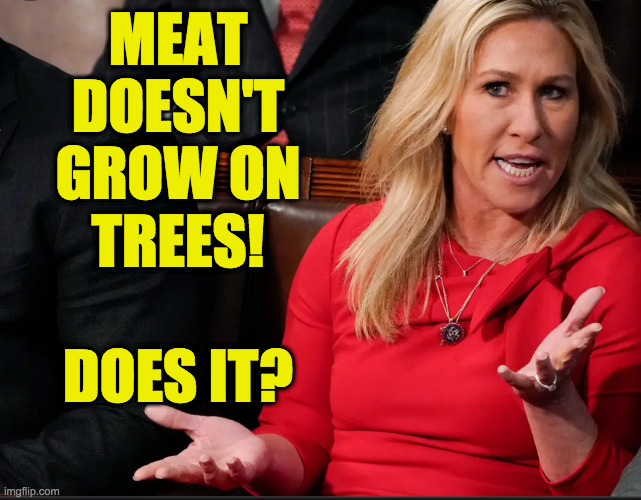 mtg explains | MEAT
DOESN'T
GROW ON
TREES!
 
DOES IT? | image tagged in mtg explains | made w/ Imgflip meme maker