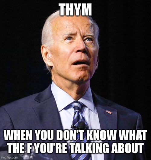 Joe Biden | THYM WHEN YOU DON’T KNOW WHAT THE F YOU’RE TALKING ABOUT | image tagged in joe biden | made w/ Imgflip meme maker