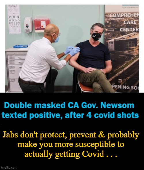 Pureblood and will remain that way for good reason.... | Jabs don't protect, prevent & probably 
make you more susceptible to 
actually getting Covid . . . | image tagged in politics,covid-19,vaccines,jabs,do not work,gavin | made w/ Imgflip meme maker