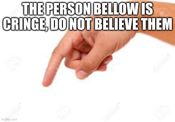 the person below | THE PERSON BELLOW IS CRINGE, DO NOT BELIEVE THEM | image tagged in the person below | made w/ Imgflip meme maker