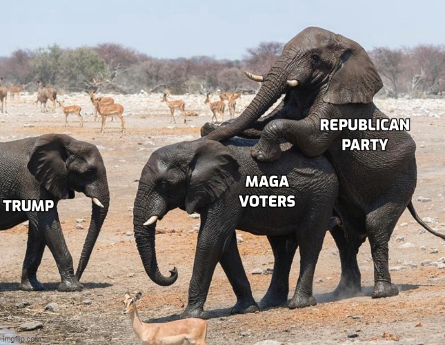 image tagged in clown car republicans,elephants,magats,trumpturds,scumbag republicans,republican voters | made w/ Imgflip meme maker