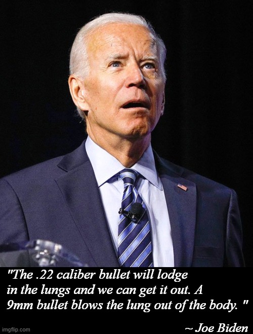 Will They Fact-Check that? | "The .22 caliber bullet will lodge in the lungs and we can get it out. A 9mm bullet blows the lung out of the body. "; ~ Joe Biden | image tagged in joe biden,dumbass,liar | made w/ Imgflip meme maker