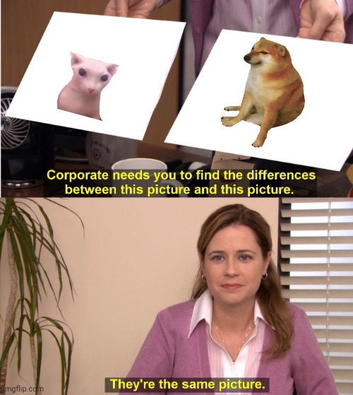 They're The Same Picture | image tagged in memes,they're the same picture,bingus,cheems | made w/ Imgflip meme maker