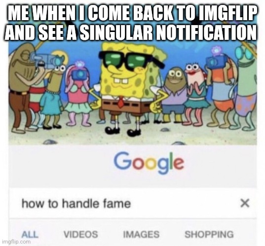 Lol I'm poor | ME WHEN I COME BACK TO IMGFLIP AND SEE A SINGULAR NOTIFICATION | image tagged in how to handle fame | made w/ Imgflip meme maker